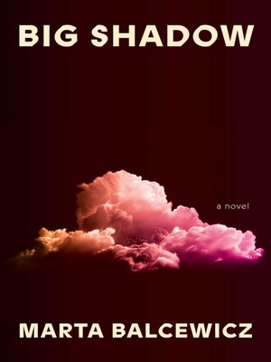 cover image of Big Shadow